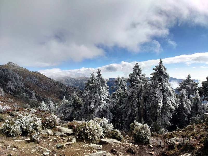海拔3000多公尺的嘉明湖步道這2天沒有下雪,不過在攝氏零度以下,加上刺骨寒風,冷杉、箭竹林上都結了一層霜羽(霧淞),雪白的山頭一樣美麗。(嘉明湖熊出沒企業社提供)中央社記者盧太城台東傳真 110年1月9日