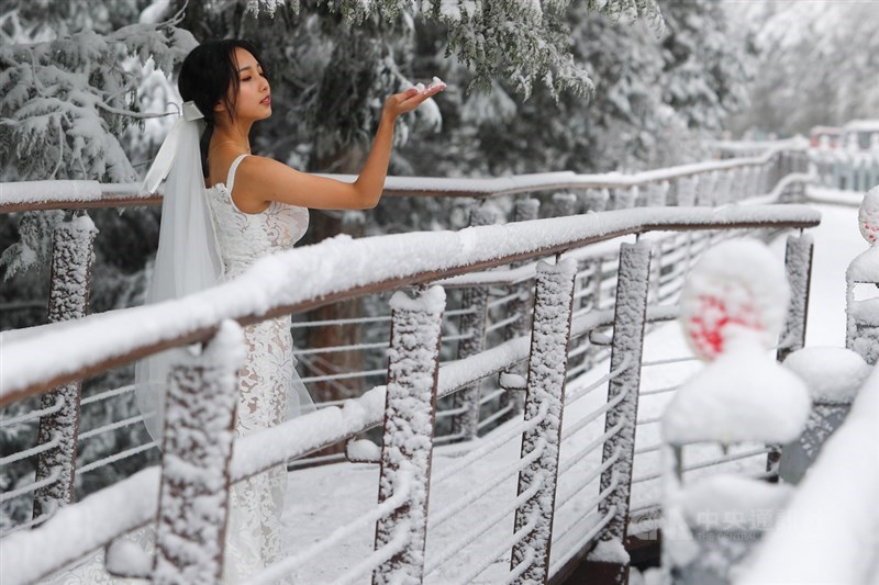 寒流發威,太平山國家森林遊樂區8日下雪,有遊客特地上山取景外拍,捕捉難得一見的銀白美景。中央社記者王騰毅攝 110年1月8日