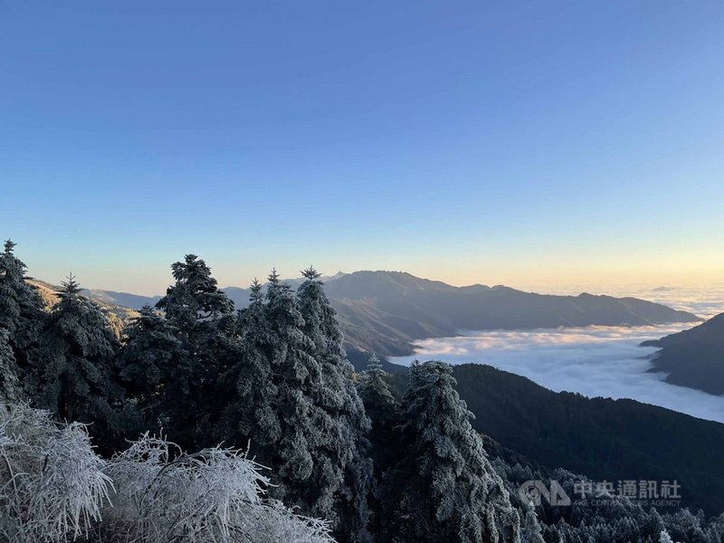 合歡山10日白天雖未降雪,但氣溫仍低,樹梢及山壁仍有殘雪結冰,隨著天氣放晴,高山雪景搭配湛藍天空更顯美麗。圖為合歡山區10日日出景觀。(民眾提供)中央社記者蕭博陽南投傳真 110年1月10日