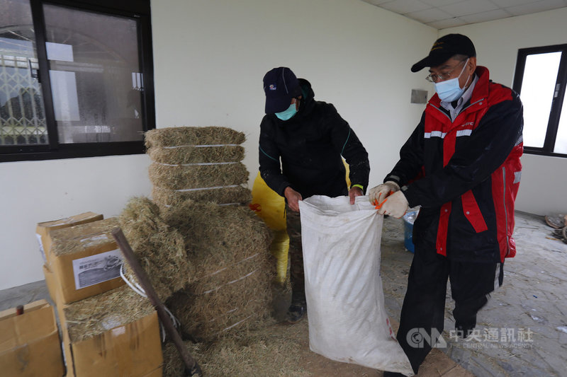 草料必須保存在乾燥的地方,陽明山國家公園管理處的工作人員會先前往放置草料的房間,在那裡混合3種草料,裝袋後以人力揹至牛棚。中央社記者林育瑄台北攝 110年1月10日