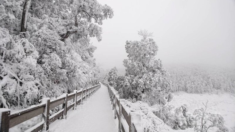 宜蘭太平山11 12日中午起禁入園冷氣團來襲 生活 重點新聞 中央社cna