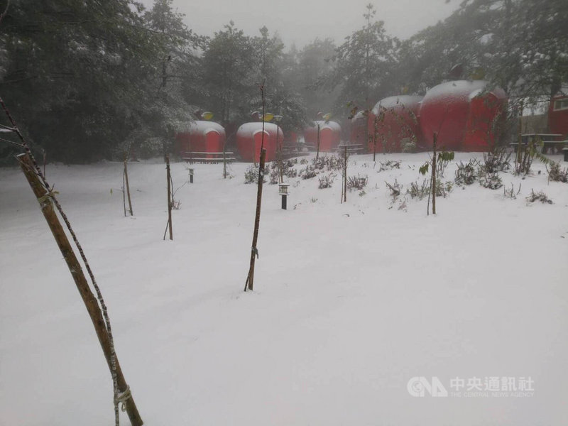 台中市和平區的福壽山農場12日凌晨再度降雪,露營區的蘋果帳篷被白雪覆蓋,好像被灑了糖霜。(福壽山農場提供)中央社記者趙麗妍傳真 110年1月12日