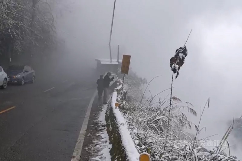 桃園市復興區拉拉山上巴陵、雪霧鬧部落等海拔1000公尺以上山區11日晚間開始降雪,12日上午再度下雪且量更多,桃園市政府觀光旅遊局提醒民眾,上山賞雪務必注意交通安全。(桃園市政府觀旅局提供)中央社記者吳睿騏桃園傳真 110年1月12日