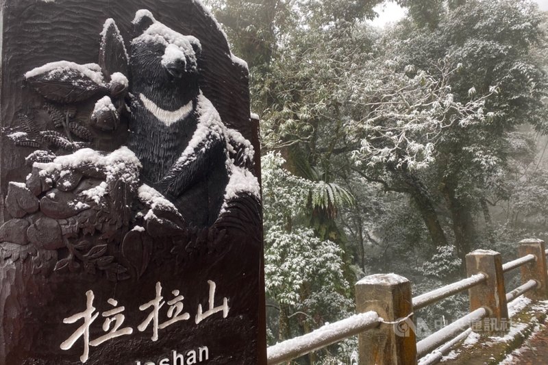 桃園市復興區拉拉山上巴陵、雪霧鬧部落等地區11日晚間再度降雪,12日早上7時前再度下雪且量更多。(桃園市觀旅局提供)中央社記者吳睿騏桃園傳真 110年1月12日