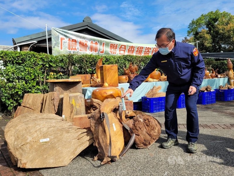 檢警21日宣布破獲宜蘭明池山老鼠盜伐集團,查扣市值約新台幣544萬元的藝品與原木,起訴12名犯嫌。中央社記者沈如峰宜蘭縣攝 110年1月21日