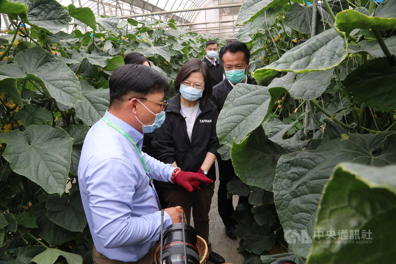 總統蔡英文(中)22日在嘉義縣長翁章梁(右)等人陪同下,參訪位於嘉義縣太保市的耿赫智能農場,農場主人張耿赫(左)向蔡總統說明如何運用科技控制生產。(嘉義縣政府提供)中央社記者蔡智明傳真 110年1月22日