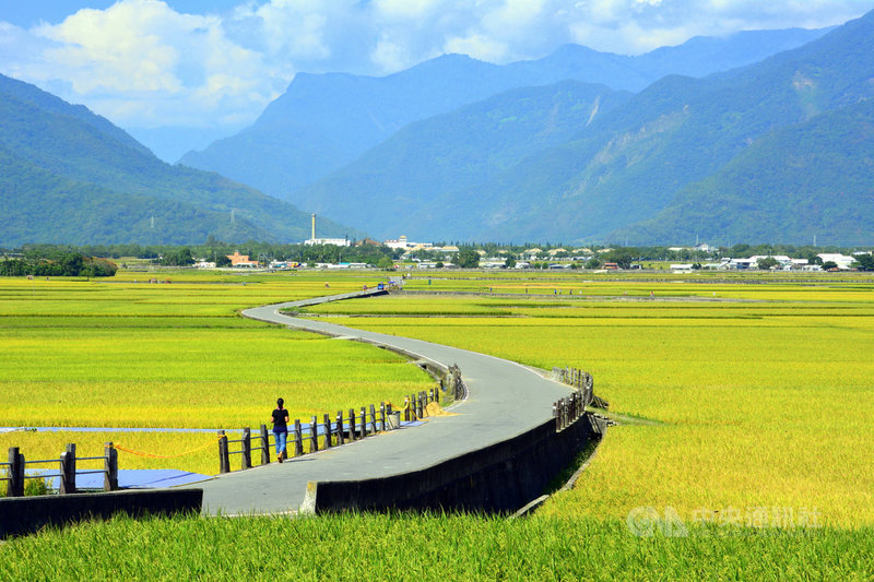 受疫情影響無法出國旅遊,一波波國旅熱潮讓東部成為熱點,台東縣政府近年來推動觀光,主打「慢經濟」概念,2020年疫情肆虐,在大量外國觀光客流失情況下,旅遊人次仍突破千萬。圖為台東池上天堂路。(台東縣政府提供)中央社記者李先鳳傳真 110年1月26日