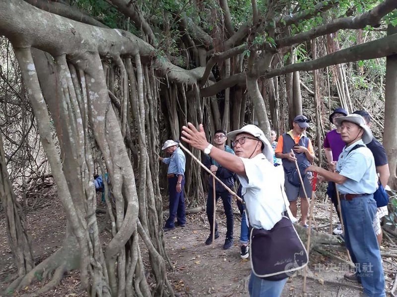 社頂部落是屏東墾丁地區離海最近的森林,部落內除動植物生態豐富,高位珊瑚礁、百榕園、毛柿林等地景景觀也十分精彩。(社頂部落提供)中央社記者郭芷瑄傳真 110年2月11日