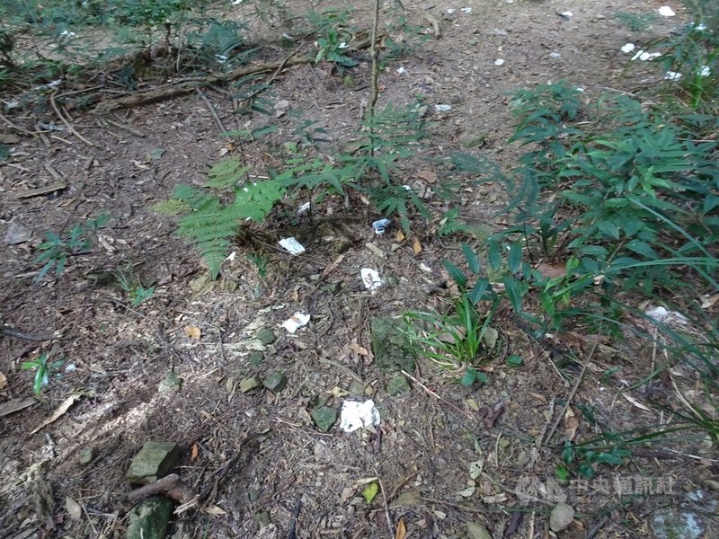 苗栗縣南庄加里山近年登山遊客增加,步道周邊卻出現大量山友「方便」使用過的衛生紙,為解決「小白花」之亂,林務局新竹林區管理處在大坪登山口試辦設置流動廁所,提供登山民眾在上山前先行「解放」。(林務局新竹林管處提供)中央社記者管瑞平傳真 110年2月18日