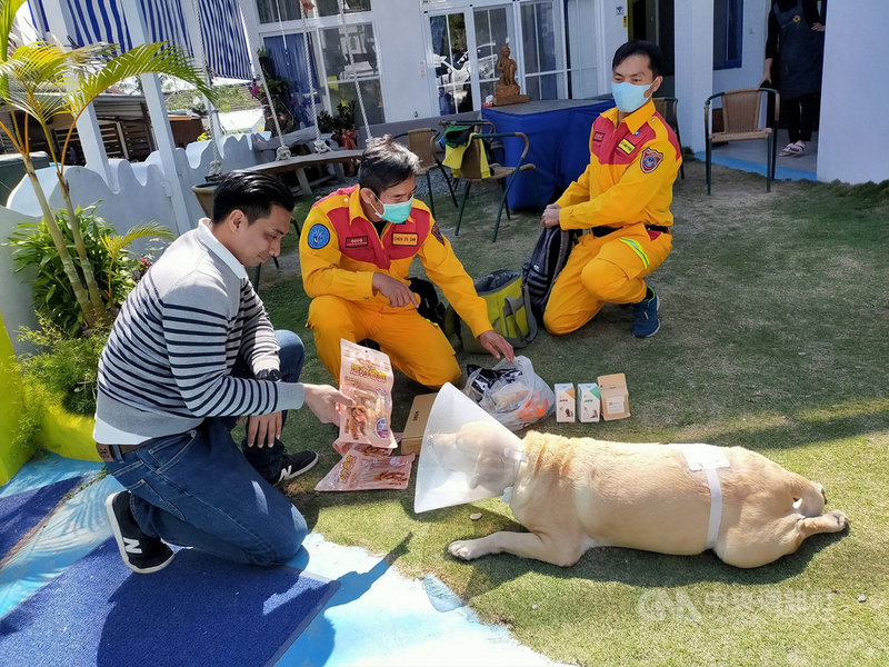 目前在台東生活的退役拉不拉多搜救犬「貝斯」意外遭2隻比特犬咬傷,「貝斯」的前主人、高雄市消防局特搜中隊小隊長陳志三(中)和隊友獲知後,第一時間趕到台東關心,為老戰友加油打氣。(戴永明提供)中央社記者盧太城台東傳真 110年2月20日