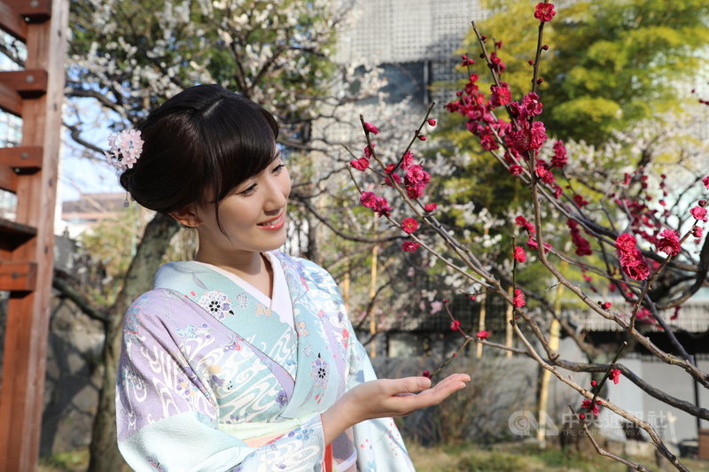 日本奈良時代(710-784年)王公貴族賞花是以賞梅為主流,而非賞櫻。王公貴族舉辦賞花會,成了現代人花見(賞花)文化的起源。圖為東京芝公園的梅林。中央社記者楊明珠東京攝 110年2月22日