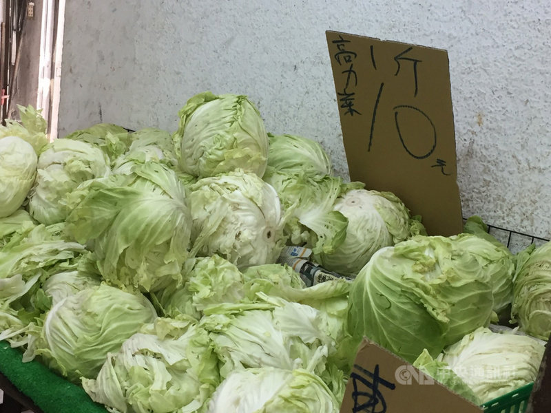 秋冬以來,農民持續搶種高麗菜,24日高麗菜在台北果菜批發市場的交易均價跌至每公斤新台幣5.1元,此交易均價已低於農委會宣布的監控價5.3元。中央社記者楊淑閔攝 110年2月24日