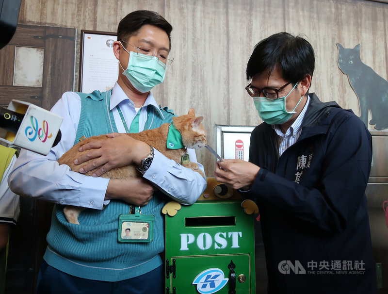 自稱是貓奴的高雄市長陳其邁(右)早已獲悉高捷橋頭糖廠站貓站長「Mikan蜜柑」盛名,25日下午專程前往訪視,並與「蜜柑」近距離開心互動。中央社記者王淑芬攝 110年2月25日