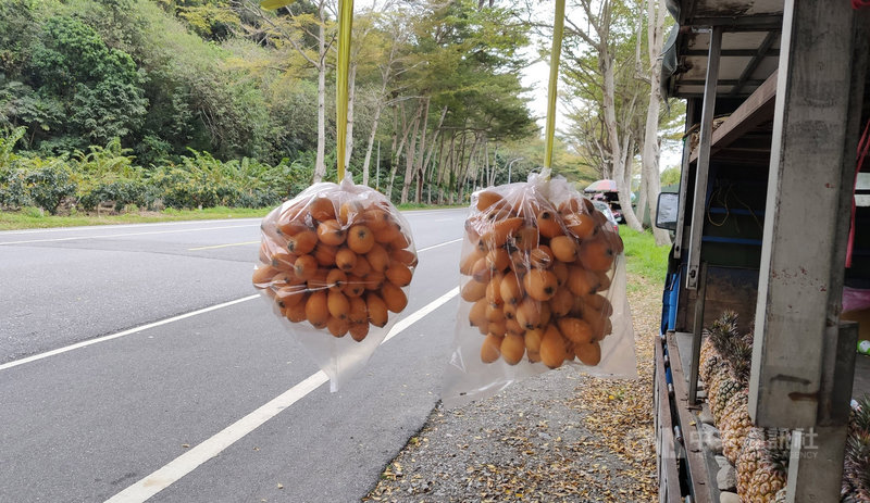 台東縱谷卑南鄉、鹿野鄉、池上鄉的早春枇杷這幾天陸續上市,許多農民自產自銷,在路旁叫賣吸引過路人,農民開心二二八連續假期能吸引遊客到台東消費。中央社記者盧太城台東攝 110年2月25日