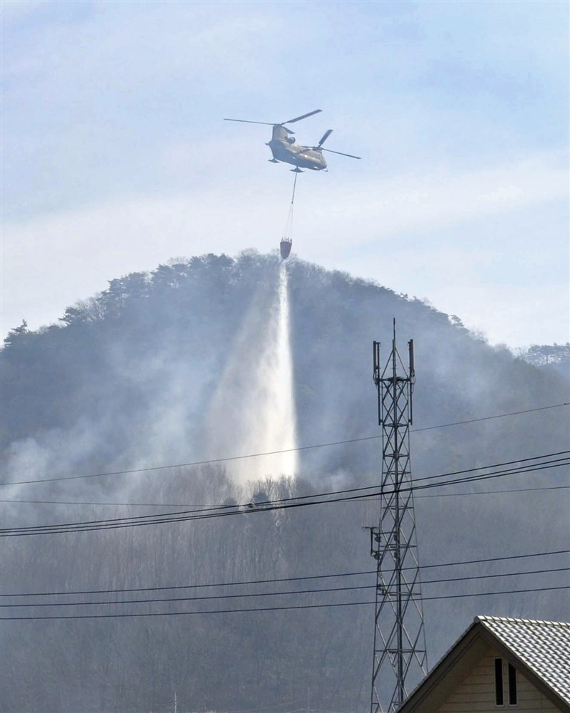 日本櫪木縣足利市山林火災至25日止已延燒4天,自衛隊出動直升機從空中灌救。(共同社)