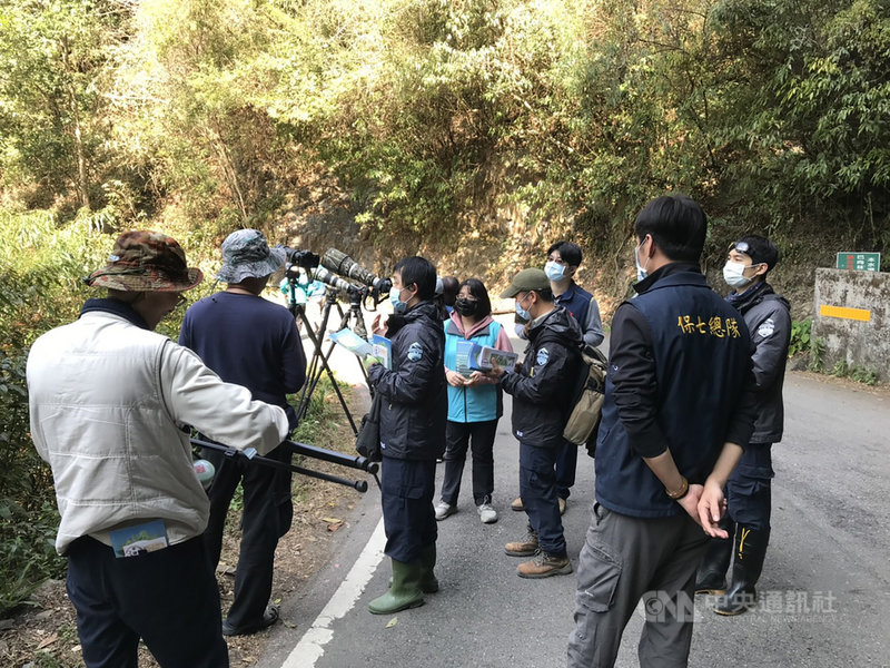 林務局東勢林區管理處聯合台中市農業局、保七警察第五大隊東勢分隊、台中市和平警分局等單位,即日起加強大雪山林道沿線宣導及巡查,如遇民眾不當以飼料、食物引誘,或播放鳥音吸引特殊鳥種靠近,且屢勸不聽,將可依法移送或開罰。(東勢林管處提供)中央社記者趙麗妍傳真 110年2月26日