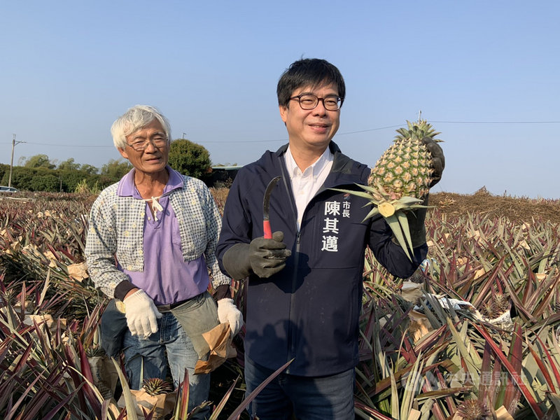 中國3月起停止台灣鳳梨進口,高雄市長陳其邁(右)表示,目前已研擬產銷配套措施,包括將針對非中國市場提高外銷獎勵,鼓勵貿易商分散市場、降低風險,媒合貿易商轉單其他國家,更公告「高雄市農產線上小型機動拓銷團費用補助計畫」,努力透過線上拓銷方式開拓其他國家市場。(高雄市農業局提供)中央社記者侯文婷傳真 110年2月26日