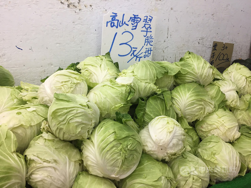 整個秋冬幾乎都過量生產的高麗菜,26日在台北果菜批發市場的交易均價終於回升至新台幣6元,27日達7.1元。農糧署表示,開學後學校食材採購,救了菜價。圖為傳統市場販售的高麗菜。中央社記者楊淑閔攝 110年2月27日