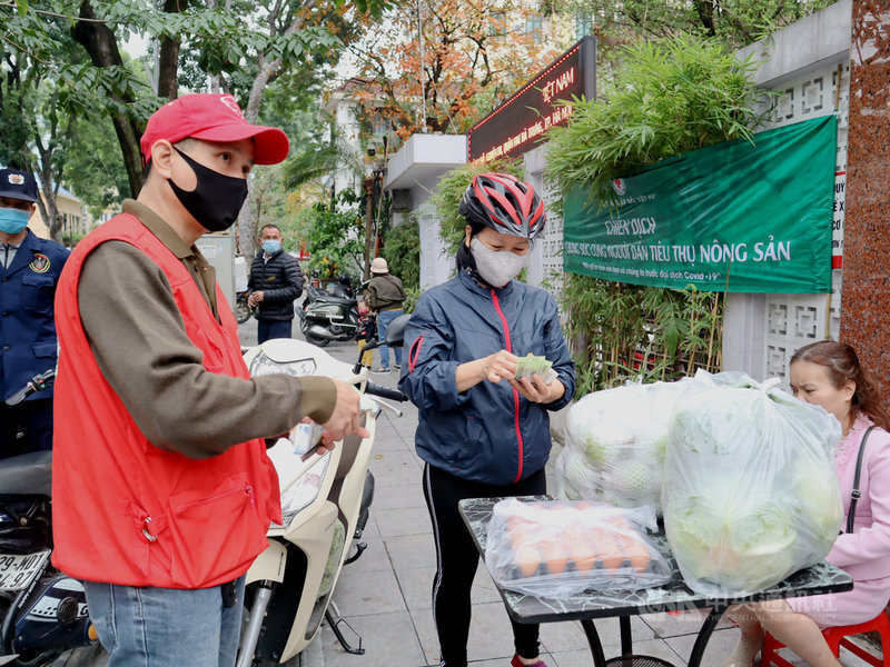 越南海陽省農產品受到防疫限制措施影響,不管是銷售到外省或出口都面臨阻礙。越南紅十字會派人前往載運農產品並協助銷售。圖為河內市阮悠街銷售據點,民眾正掏錢購賣高麗菜與雞蛋。中央社記者陳家倫河內攝 110年2月28日