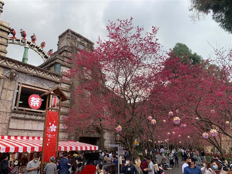 二二八連假進入第二天,南投日月潭的九族文化村湧入大批賞櫻人潮,2400個停車位全滿,九族文化村28日中午宣布,暫停開放民眾入園賞。(圖取自facebook.com/facv.nine)