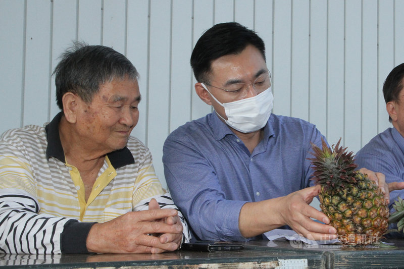 國民黨主席江啟臣(右)1日到台南市關廟區與鳳梨農民座談,在農民介紹下觀看剛採收不久的鳳梨。中央社記者楊思瑞攝 110年3月1日