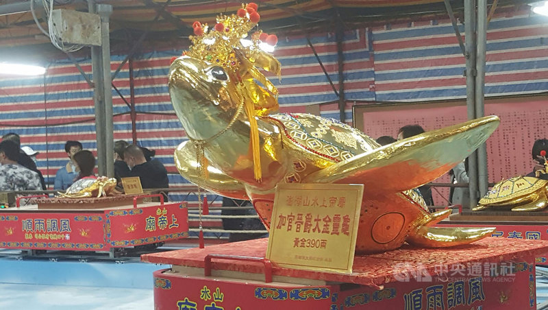 澎湖今年元宵乞龜活動中,市值2500萬元的390兩黃金龜,來自台澎兩地的民眾爭相擲杯乞求。中央社 110年3月1日