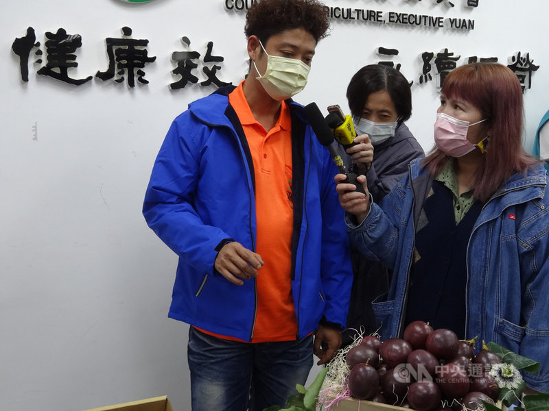 3至5月是台灣國產季節性水果相對貧乏季節,春季百香果上市供不應求,深具市場商機,加上使用多元,加速春季百香果成為南台灣新興產業。原生產番茄種苗而獲選第3屆百大青農的屏東果農蔡濰丞(左)2日即表示,他已投產春季百香果,面積2公頃。中央社記者楊淑閔攝 110年3月2日