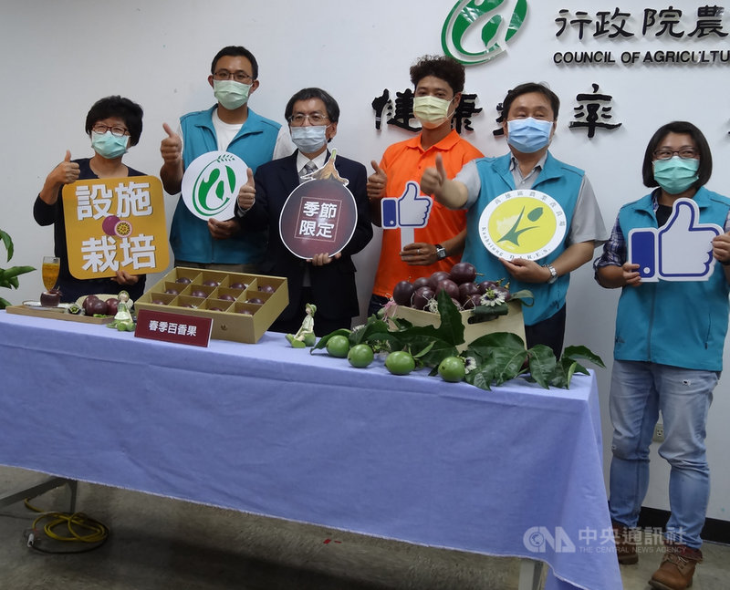 農委會高雄區農業改良場2日舉行「技術研發讓台灣春季也有百香果」記者會指出,助理研究員李文豪將燈照調節技術運用在百香果上,建立春季百香果生產模式,目前已在屏東、高雄、台南建置產業聚落,讓民眾不用等到7月才有百香果吃。中央社記者楊淑閔攝 110年3月2日