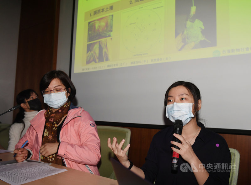 台灣動物社會研究會研究員張馨元(右起)、民進黨立委林淑芬等,3日在立法院舉行記者會,指政府移除外來物種毫無章法,放任民眾各行其道,呼籲農委會應從源頭管理動物的輸出輸入,並盡速訂定外來種移除規範。中央社記者施宗暉攝 110年3月3日