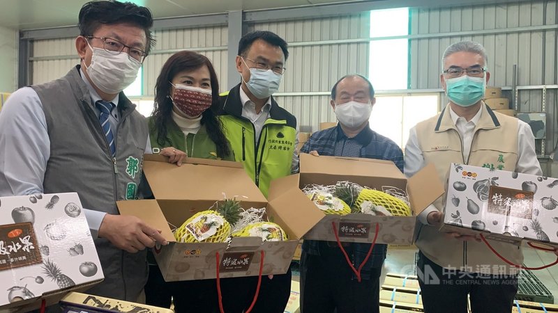 中國禁止進口台灣鳳梨,反而激起搶購熱潮;行政院農委會主委陳吉仲(中)3日出席台南市楠西區台灣鳳梨座談會並受訪表示,最新統計,將有逾5000公噸台灣鳳梨外銷到日本,創下歷年新高。中央社記者張榮祥台南攝 110年3月3日