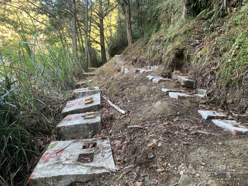 阿里山塔山步道木造棧橋整修,拆除過程中發現原基座有晃動現象,增加整修難度;嘉義林管處4日表示,原訂3月底可完成的工程,將延後至5、6月時才能完工。(嘉義林管處提供)中央社記者蔡智明傳真 110年3月4日