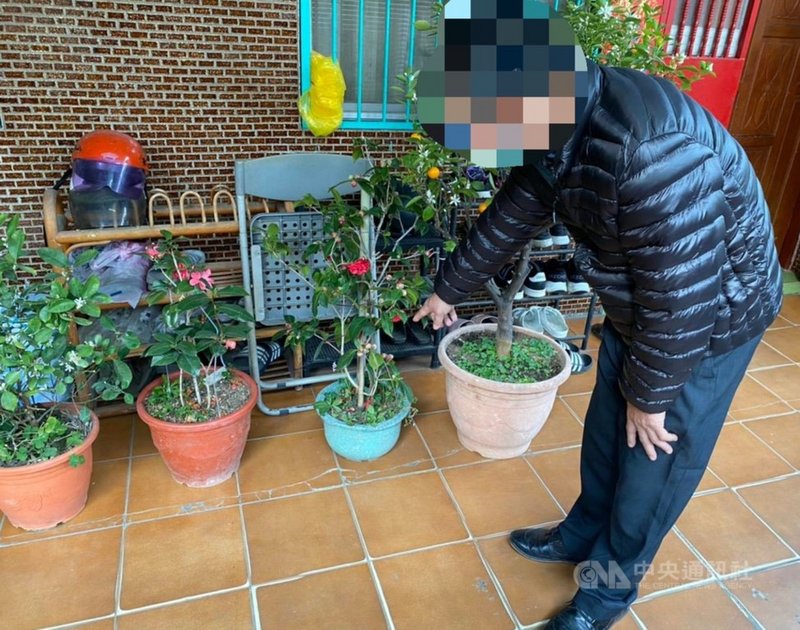苗栗警分局4日表示,查獲許姓男子涉嫌偷竊民宅盆栽,許男到案供稱原本因缺錢花用,打算竊取盆栽變現,但盆栽越看越漂亮,不捨變賣,放在家中庭院欣賞,成為涉案鐵證。(警方提供)中央社記者管瑞平傳真 110年3月4日
