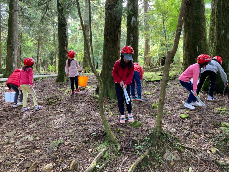 阿里山花季10日登場,各式櫻花陸續綻放,嘉義林區管理處為迎接花季到來,近日與園區內居民、商家、學校師生一起淨山。(嘉義林管處提供)中央社記者蔡智明傳真 110年3月5日