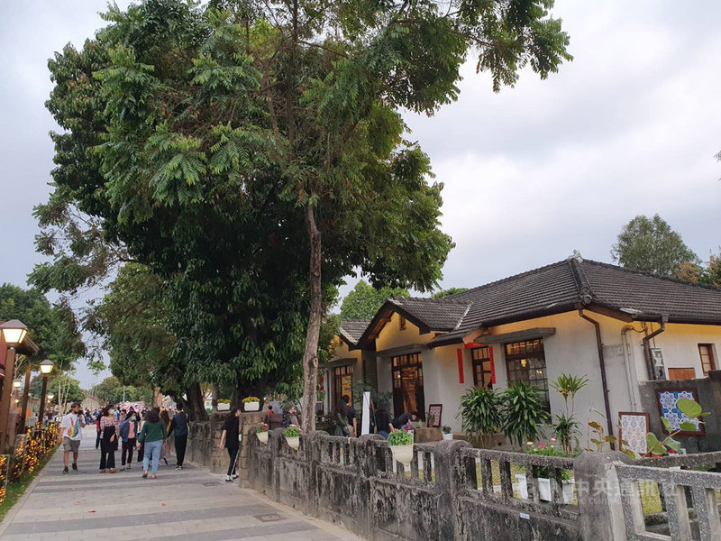 屏東縣政府文化處表示,勝利星村保留相當豐富的老樹景觀,庭院巷弄間的老樹述說過往眷村的生活記憶。中央社記者郭芷瑄攝 110年3月5日