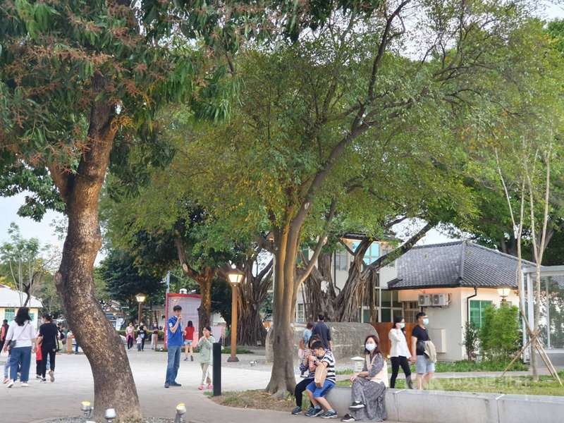 走進屏東勝利星村創意生活園區,引人入勝的不只有日式建築及各具風格特色的店家,園區內眾多老樹也是重要的生態與文化資產。中央社記者郭芷瑄攝 110年3月5日