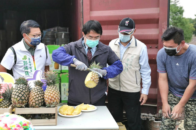 台南市長黃偉哲(左2)5日到關廟區鳳梨產地關心鳳梨採收情形,並在農民指導下拿起刀子親手削鳳梨。中央社記者楊思瑞攝 110年3月5日