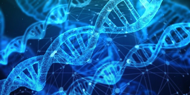 衛福部與藥廠簽約成立癌症精準醫療合作示範計畫,將提供包含肺癌、食道癌、胃癌等6種癌患免費基因檢測。(示意圖/圖取自Pixabay圖庫)