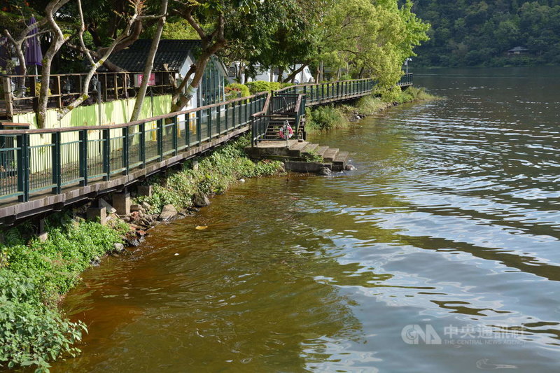 花蓮鯉魚潭出現大量紅色懸浮物,引起當地業者、遊客注意,懷疑水質遭污染。花東縱谷國家風景區管理處鯉魚潭管理站指出,委請國立東華大學調查後,確認是無毒的葡萄球藻。中央社記者張祈攝 110年3月6日