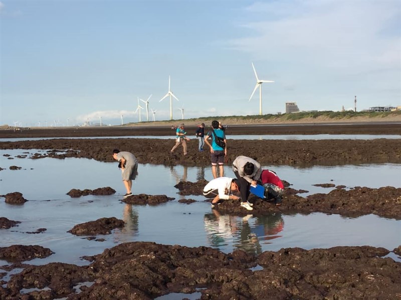 珍愛藻礁公投連署破50萬份,農委會主委陳吉仲原訂8日將與環團對話,但環團開會決議,須全力完成整理工作,無暇出席會面。(圖取自facebook.com/Taoyuanalgalreefs)