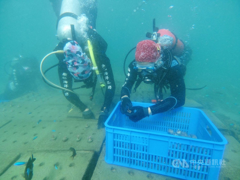 澎湖縣政府推動海洋棲地復育有成,馬公鎖港杭灣的珊瑚海洋花園,109年吸引6萬名遊客造訪,浮潛看花花世界。(澎湖縣政府提供)中央社 110年3月8日