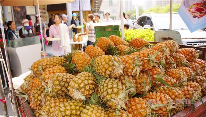 中國不進台灣鳳梨,卻推銷自產的金鑽鳳梨,農委會擬祭刑責杜絕品種流入中國並回銷。圖為屏東金鑽鳳梨。(中央社檔案照片)