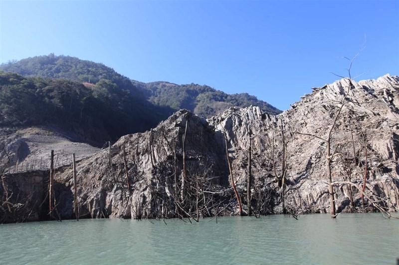 水情持續吃緊,德基水庫水位不斷下降,原先在水面下的枯樹林露出。(民眾提供)中央社記者趙麗妍傳真 110年3月8日