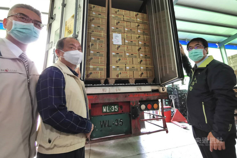 新加坡台商透過貿易公司採購25公噸台灣鳳梨準備銷往新加坡,首批10日在台南市楠西區裝櫃,台南市長黃偉哲(右)前往關心。中央社記者楊思瑞攝 110年3月10日