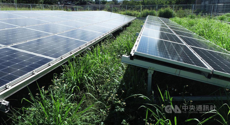 科技業者在苗栗縣通霄鎮北勢窩建置友善生態光電案場,增加自然生態動物安全廊道、動物防護引導圍欄、場域內禁用農藥除草等措施,協助原生植物復育,營造友善棲地環境。(普登科技股份有限公司提供)中央社記者管瑞平傳真 110年3月12日