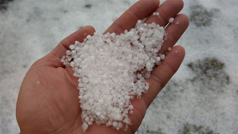 中央氣象局表示,玉山氣象站13日下午1時25分開始降雪粒,下午2時積雪粒達0.7公分,將大地染成銀白世界。氣象局說明,雪粒不是雪,為白色不透明球體 ,多來自層狀雲或霧氣,由過冷水直接凝固形成。(中央氣象局提供)中央社 110年3月13日