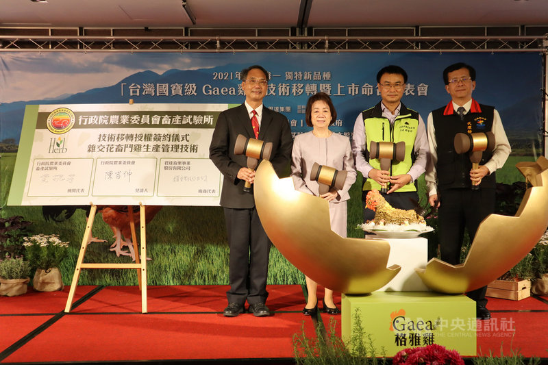君達集團以小農契養、友善養殖方式推出「Gaea格雅雞」,17日舉行技術移轉暨上市命名發表會,農委會主委陳吉仲(右2)、農委會畜產試驗所所長黃振芳(左)、花蓮縣政府代理秘書長張逸華(右)、君達集團董事長尹純綢(左2)共同宣告上市。中央社記者李先鳳攝 110年3月17日