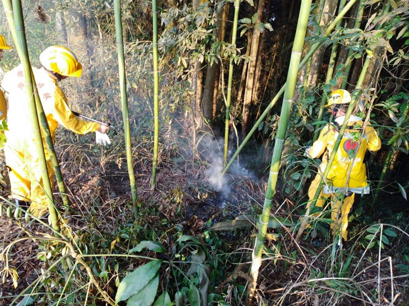 嘉義縣達邦公路18日下午發生林班地火警,因地面乾燥落葉多,加上芒草、竹林等助易燃物,火勢一時無法控制,嘉義林管處人員冒險滅火。(嘉義林管處提供)中央社記者蔡智明傳真 110年3月19日
