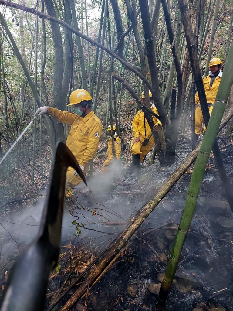 阿里山公路(台18線)69公里處附近下方,18日下午2時左右發生森林火災,22日搶救進入第5天,下午1時終於控制火勢,已延燒95小時,波及面積約1.6公頃。圖為森林護管員搶救情況。(嘉義林管處提供)中央社記者黃國芳傳真 110年3月22日