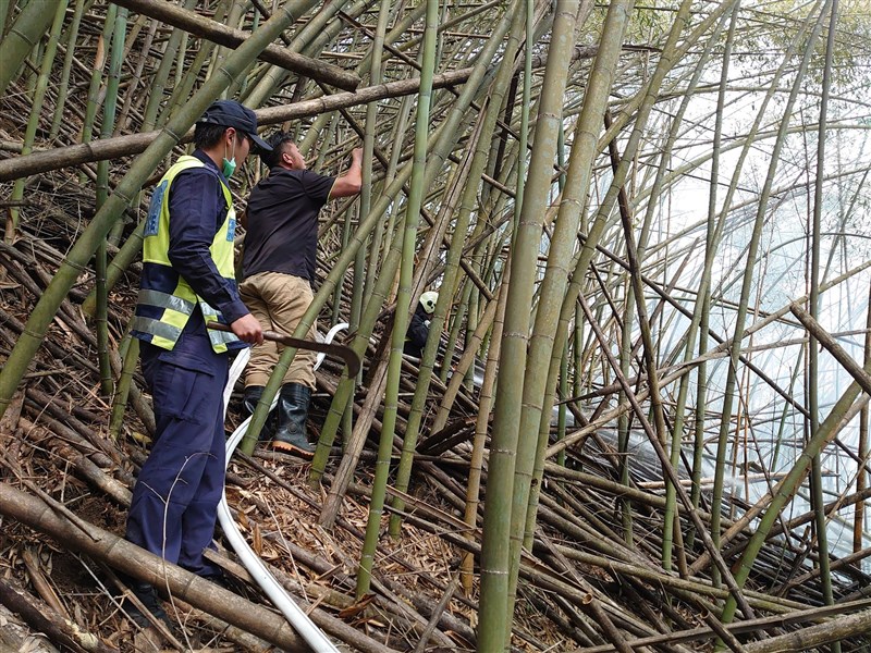 台18線阿里山公路69公里處附近下方、169縣道達邦公路上方邊坡26日下午傳火警,冒濃煙處和18日火災起火點相近,林管處已緊急派員前往,嘉義縣消防人員也到場處理。(嘉義縣消防局提供)中央社記者蔡智明傳真 110年3月26日