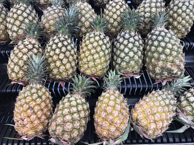 農委會28日指出,首批由澳洲消費者預購2公噸台灣鳳梨檢疫合格順利通關,確立標準通關與商業模式。(中央社檔案照片)